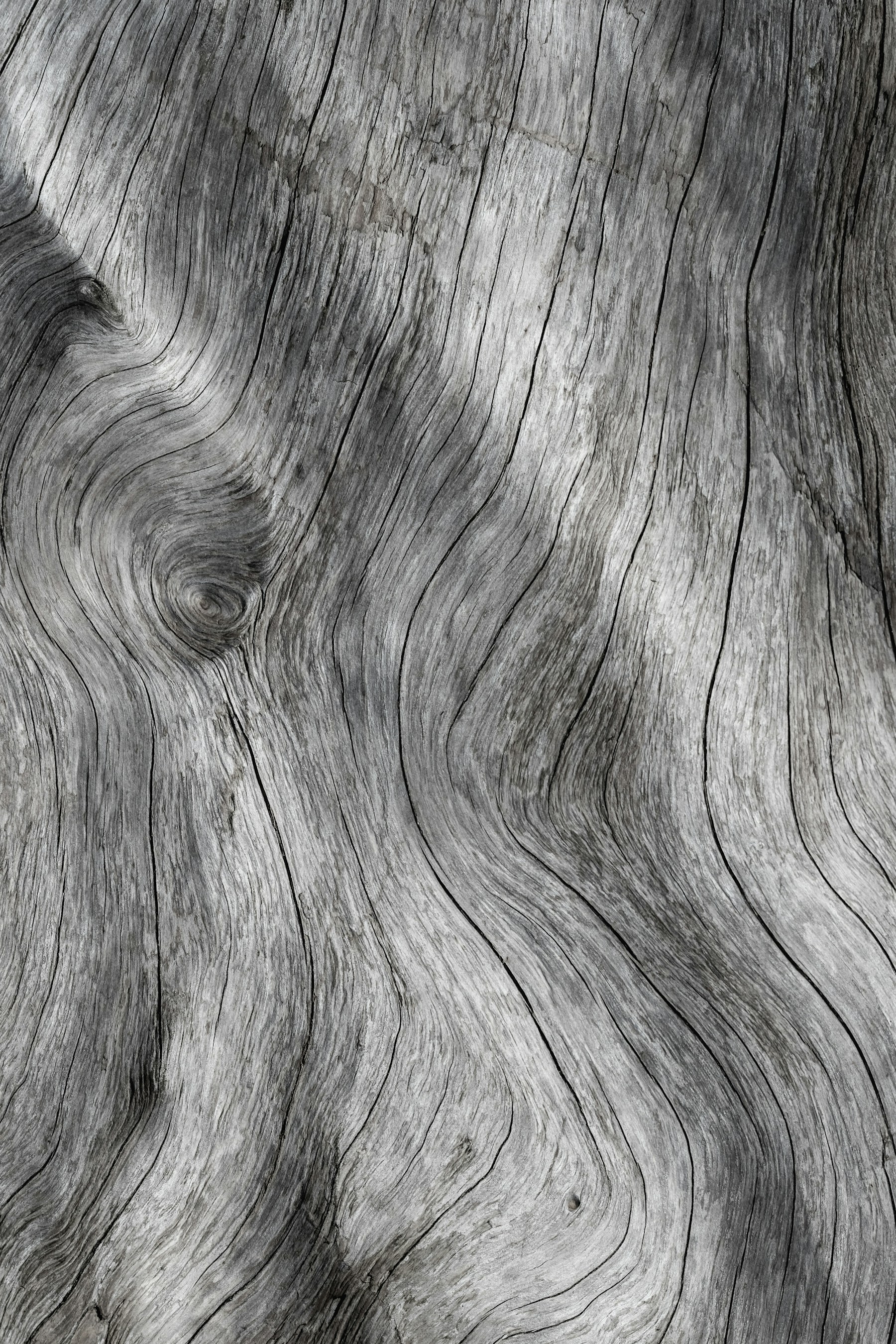 Close-up of silvery ash grain pattern